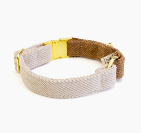 Cappuccino Corduroy collar | Eat Play Wag - Babelle