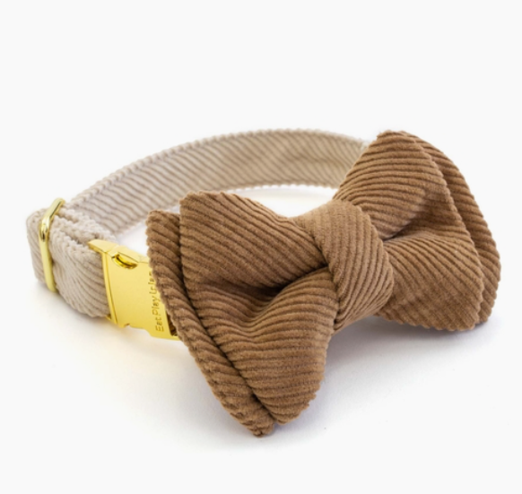 Cappuccino Corduroy collar | Eat Play Wag - Babelle