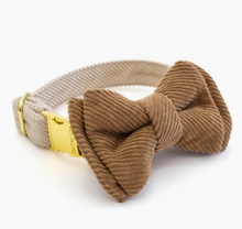 Load image in Gallery view, Cappuccino Corduroy collar | Eat Play Wag - Babelle
