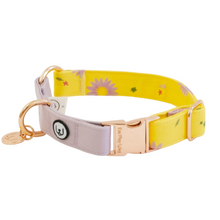 Load image in Gallery view, Daisy Dream collar | Eat Play Wag - Babelle
